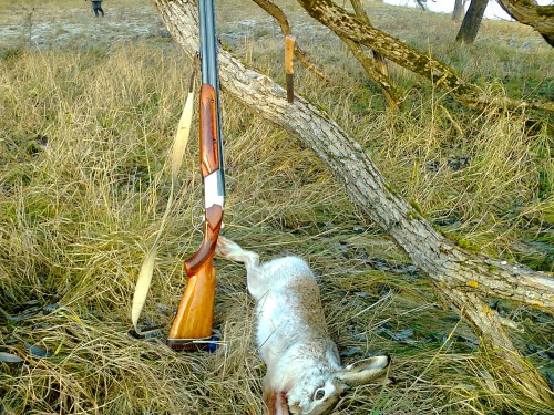 Заяц.jpg (1.46 МБ) Просмотров: 3701 Заяц.jpg