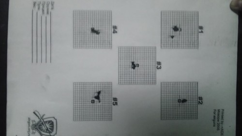 IMAG0741.jpg