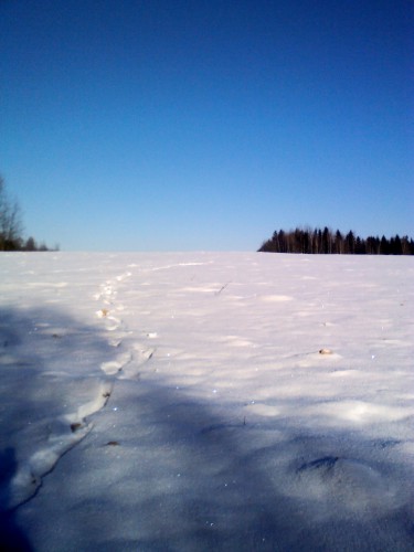 YP20140125124131.jpeg