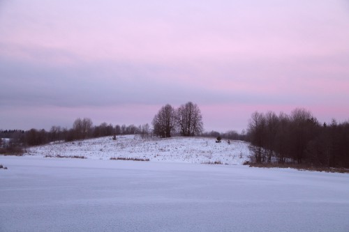 IMG_7737.JPG