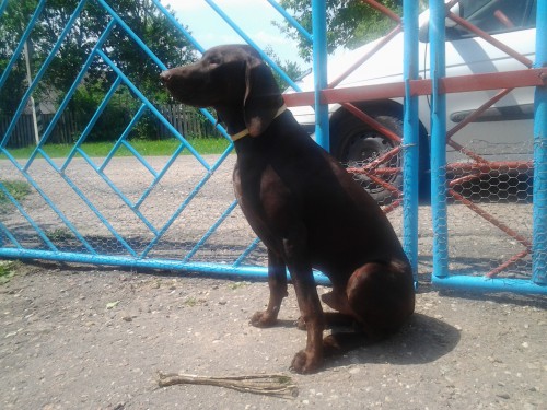 2013-06-02 14.23.50.jpg