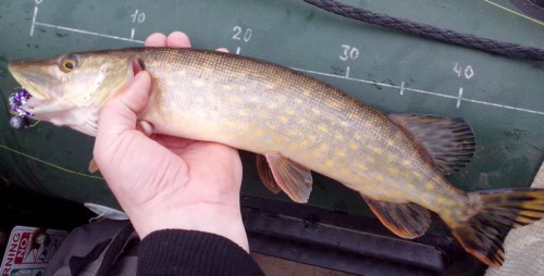 IMG_20140306_101722.jpg (62.49 КБ) Просмотров: 13010 IMG_20140306_101722.jpg