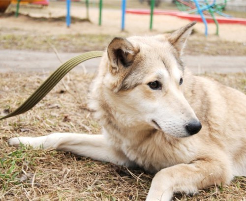 xkNepYfWHMU_cr.jpg (78.71 КБ) Просмотров: 28290 xkNepYfWHMU_cr.jpg