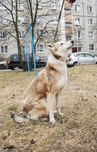 AJ-Tx0jclKA.jpg (126.65 КБ) Просмотров: 29822 AJ-Tx0jclKA.jpg