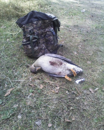 Фото 0790.jpg (464.76 КБ) Просмотров: 6483 Фото 0790.jpg