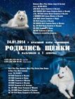getImage для аватара.jpeg