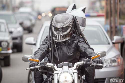 Дмитрий Питбуль Степаненко.jpg