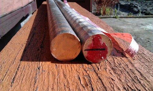 IMAG1606.jpg