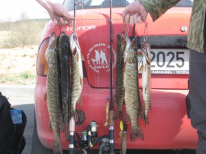 IMG_4650.JPG