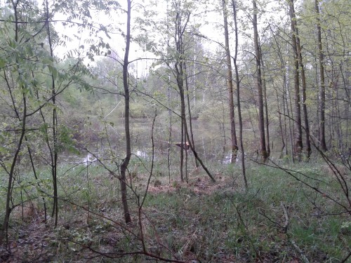 20140504_172021.jpg