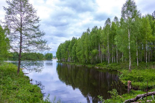 IMG-0065.jpg