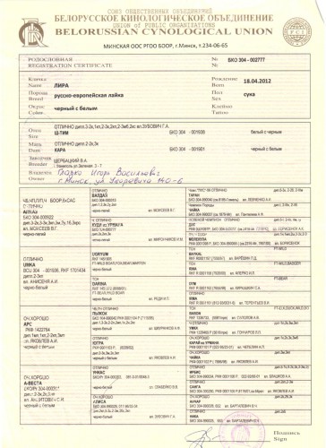 Лира1 001.jpg (319.12 КБ) Просмотров: 1536 Лира1 001.jpg