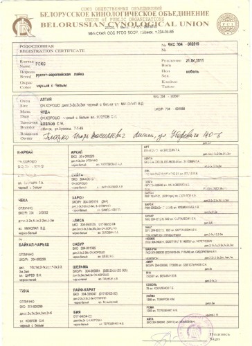 рокс1 001.jpg (301.47 КБ) Просмотров: 1536 рокс1 001.jpg