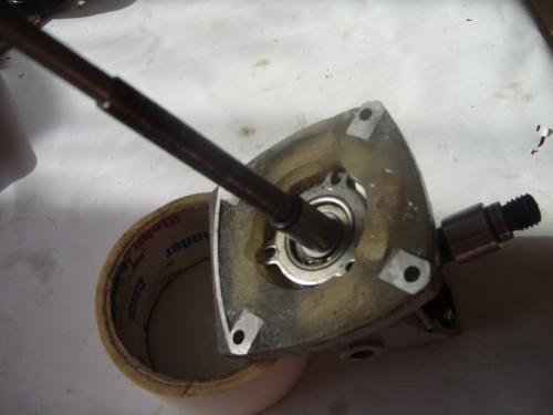 SDC12054.JPG