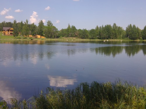 IMG_20140525_145016.jpg