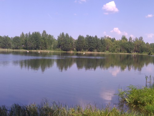 IMG_20140525_145028.jpg