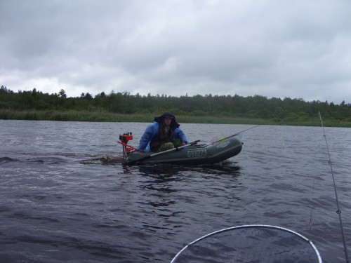 SDC10010.JPG