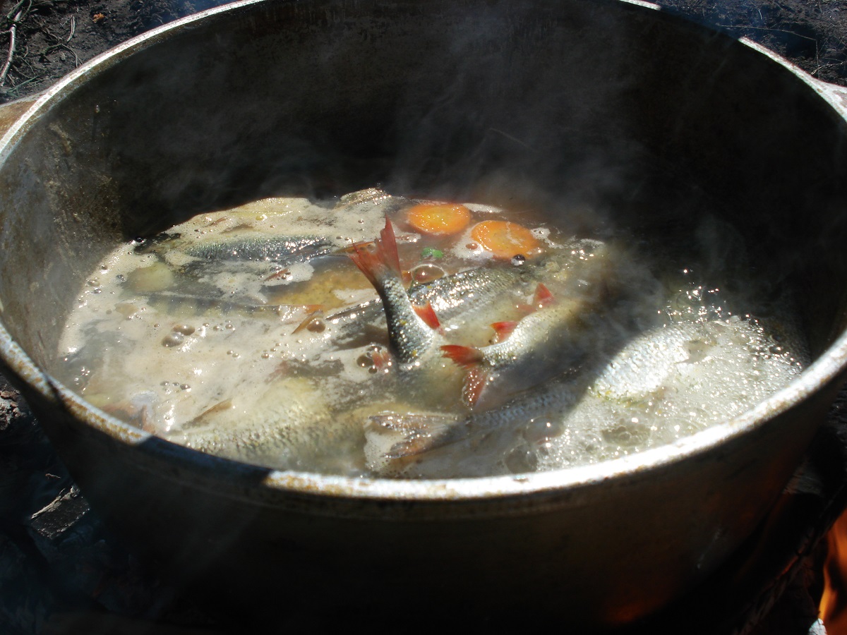 Уха из плотвы рецепт в домашних условиях - как приготовить ароматный и сытный суп