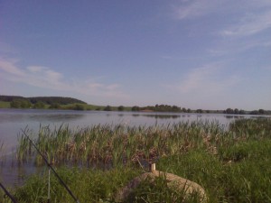 IMG_20110521_103247.jpg