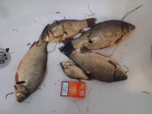 IMG_20110521_141224.jpg