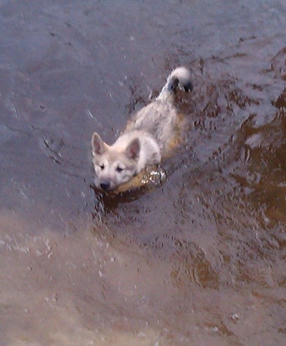 IMAG0526.jpg
