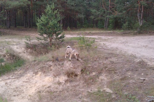 IMAG0567.jpg