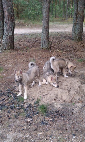 IMAG0657.jpg