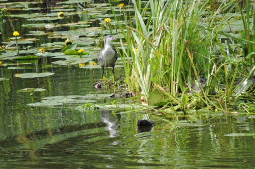 DSCN1547.JPG