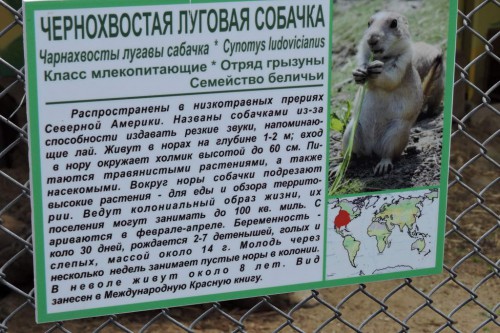 DSCN1619.JPG
