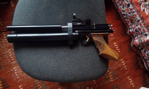 крыс1377.jpg