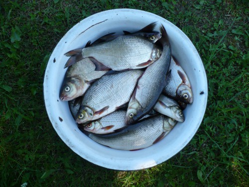 01_07.JPG (267.03 КБ) Просмотров: 10453 01_07.JPG