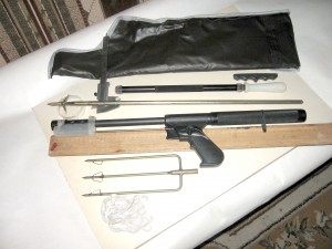 IMG_2549.jpg
