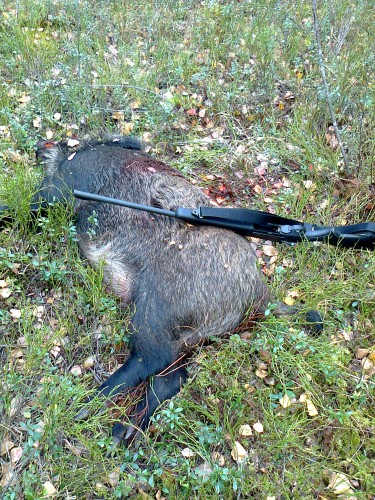 Фото0110.jpg (1.64 МБ) Просмотров: 22633 Фото0110.jpg