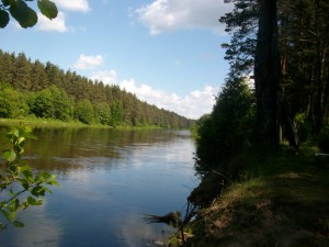 IMG_3510_новый размер.JPG