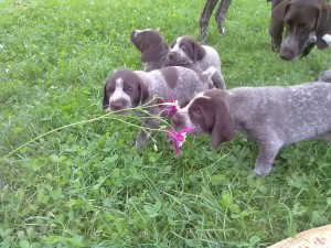 10062011142.jpg