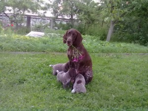 10062011149.jpg