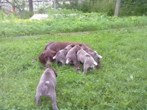 10062011150.jpg