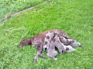 10062011151.jpg