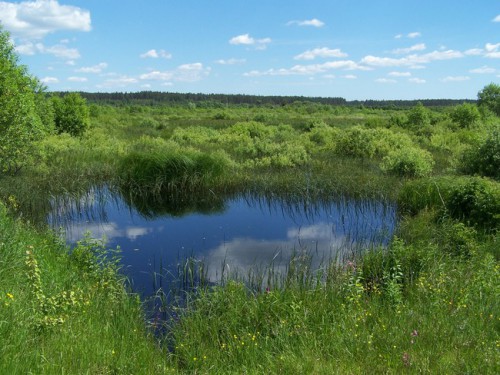 78535_1002173.jpg