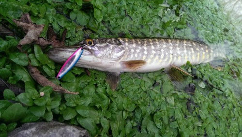 6.jpg (111.03 КБ) Просмотров: 22559 6.jpg