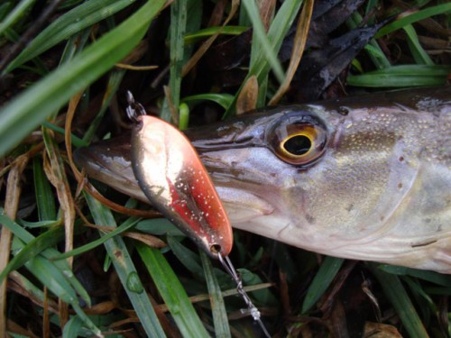 11.jpg (97.39 КБ) Просмотров: 22937 11.jpg