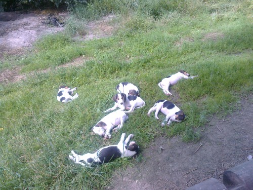 Фото0009.jpg (1.76 МБ) Просмотров: 5413 Фото0009.jpg