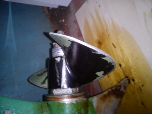 DSC00980.jpg
