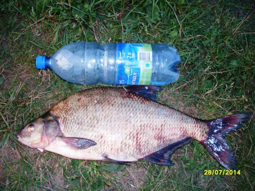 2кг.JPG (2.45 МБ) Просмотров: 8665 2кг.JPG