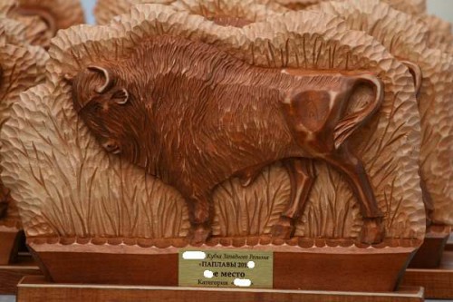 Паплавы 2014.jpg