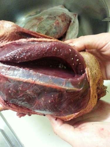 будьте осторожны.jpg (106.47 КБ) Просмотров: 15692 будьте осторожны.jpg