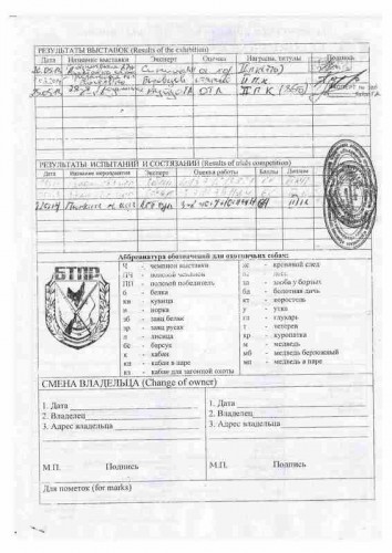 Сканировать14.jpg