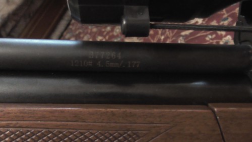 S1070101.JPG