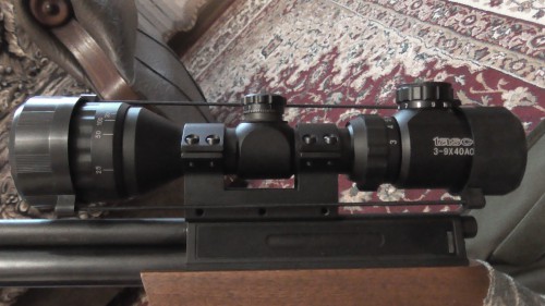 S1070103.JPG