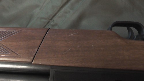 S1070105.JPG